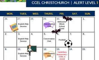 CCEL Activities November 2020
