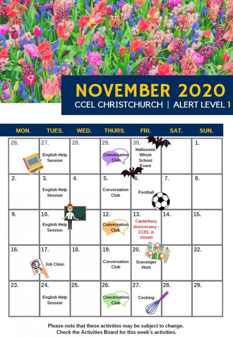 Nov 2020 Activities
